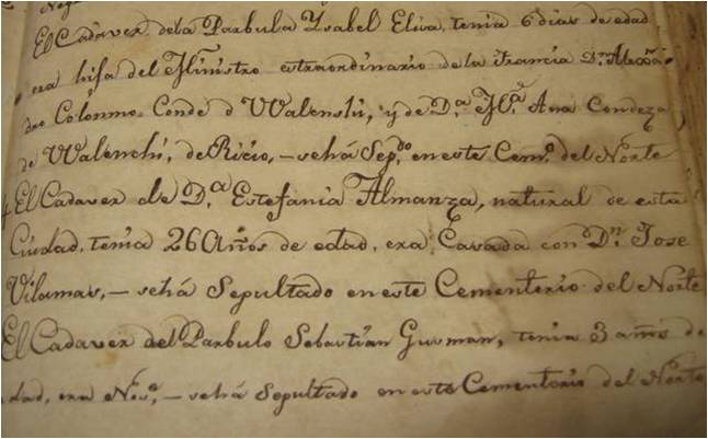 La nieta polaca de Napoleón